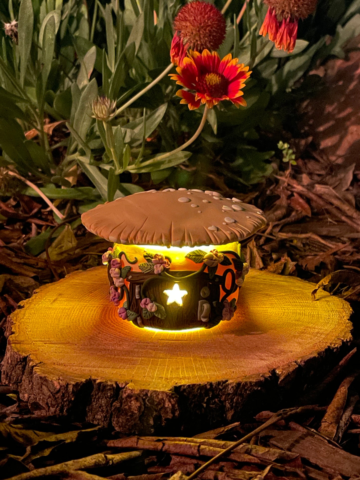 Shannon - Medium Nightlight